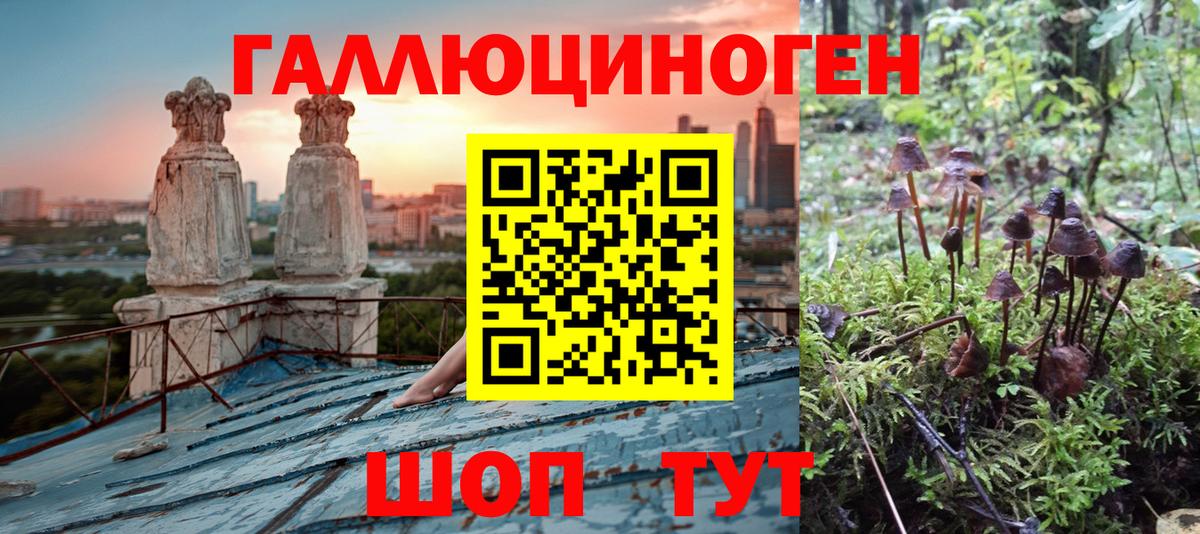 наркошоп  Псилоцибиновые грибы прущие грибы  Губкин  Вход с VPN  Псилоцибиновые грибы Magic Shrooms 