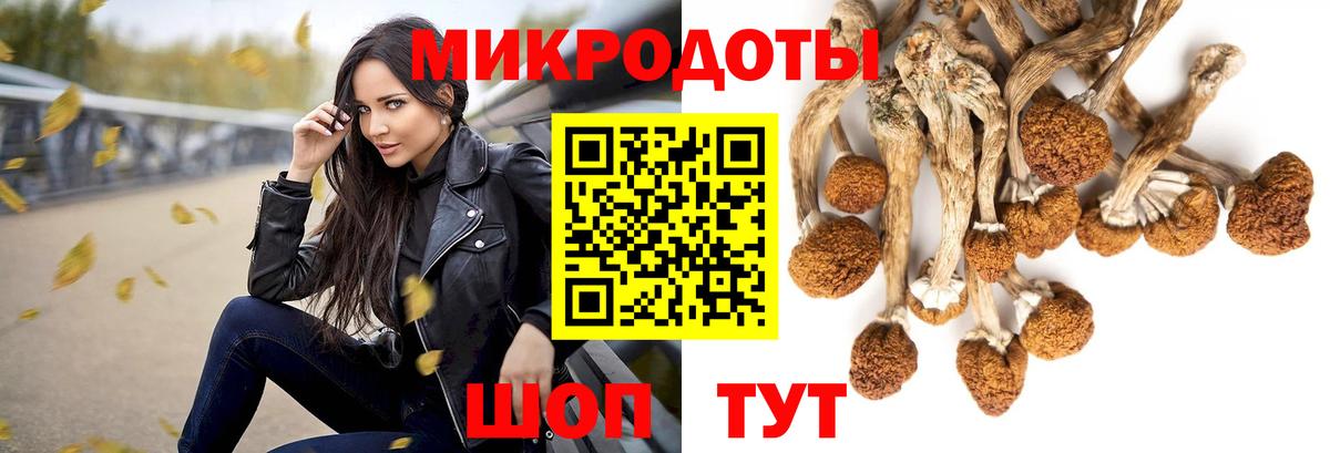 Галлюциногенные грибы мицелий Губкин